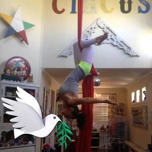 Meet your Posher, Candice